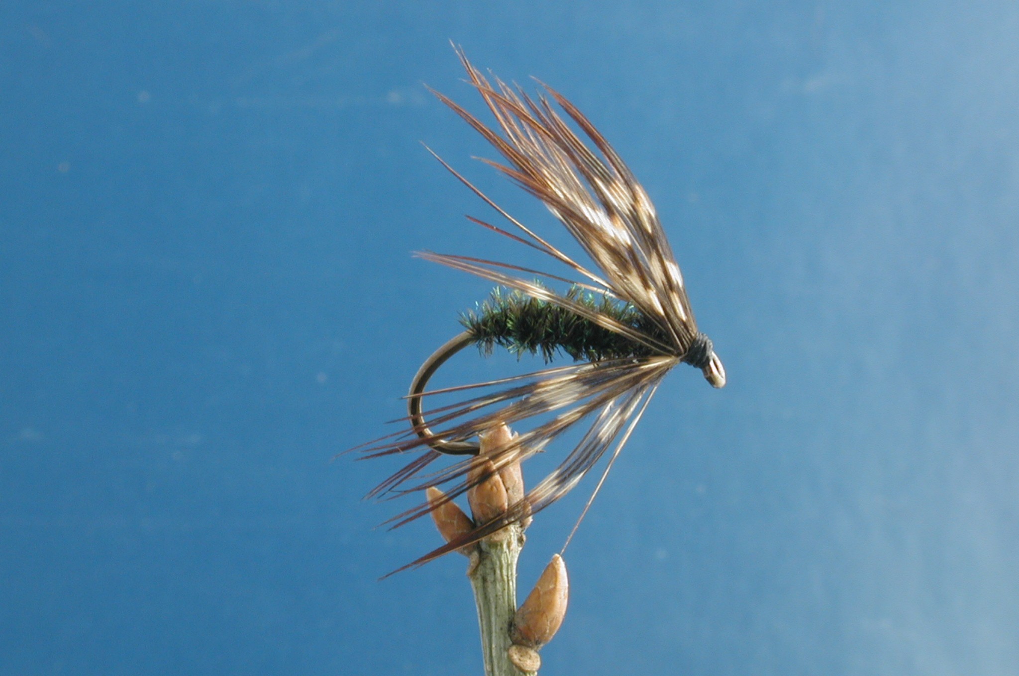 Shokawa Kebari 5 Fly Fishing Flies with Fish4Flies Worldwide